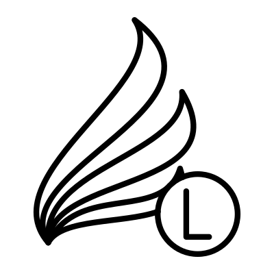Flight Lite logo