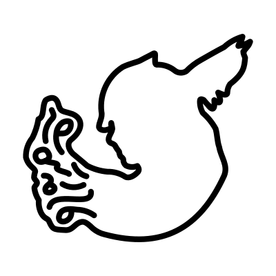 Valkyrieprofile logo