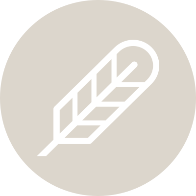 Poe logo