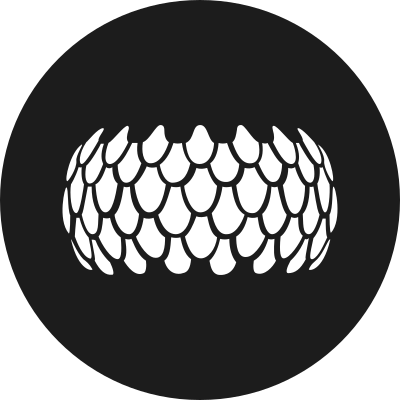 Srn logo