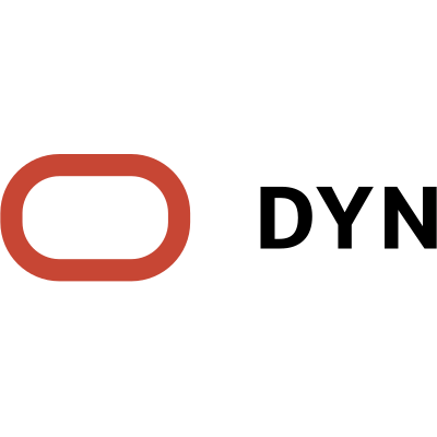 Dyndns logo
