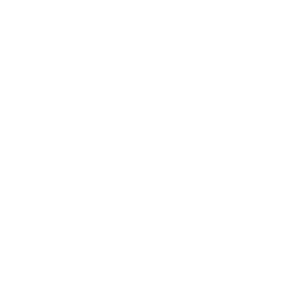 Bnt logo