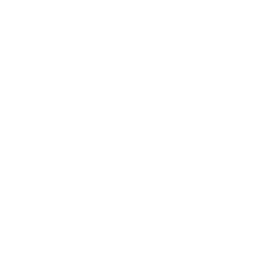 Dvi logo