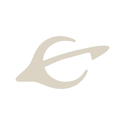 Evmos logo