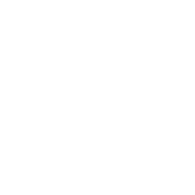 Leox logo