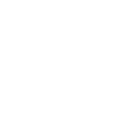 Noia logo