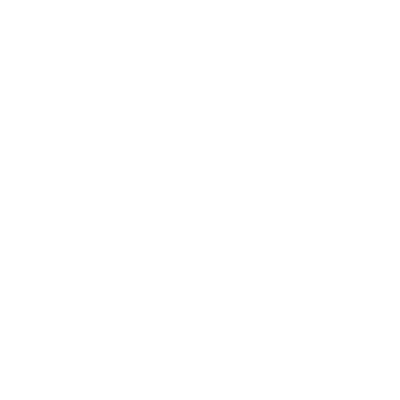 Seilor logo