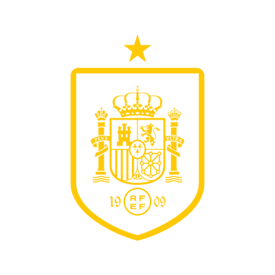 Snft logo