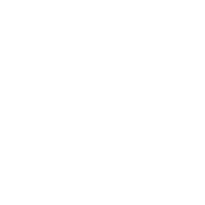 Solo logo