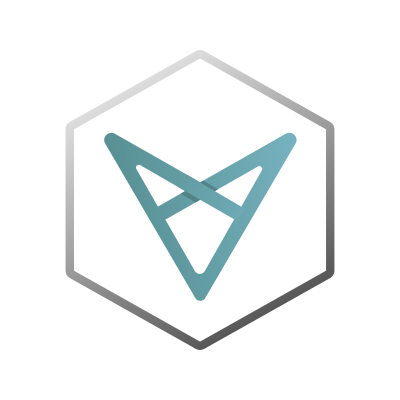 Vxv logo