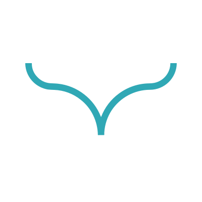 Wise logo