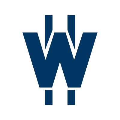 Wsi logo